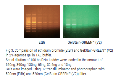 GelStain-GREEN™ (V2)