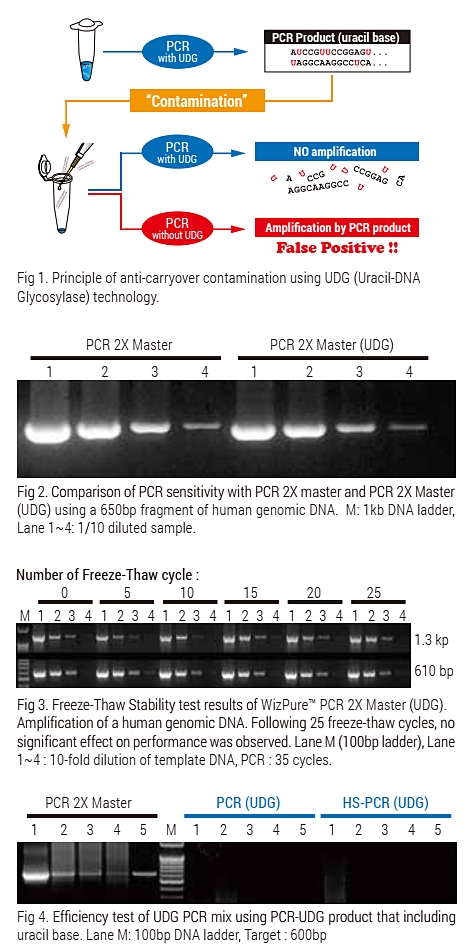 Technical Image