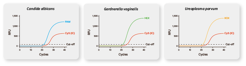 Technical Image