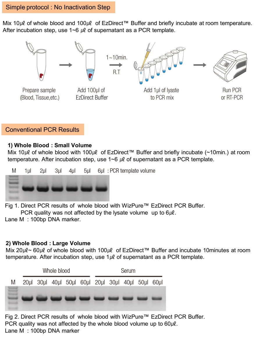 Technical Image
