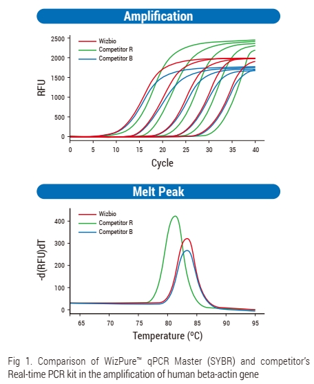Technical Image