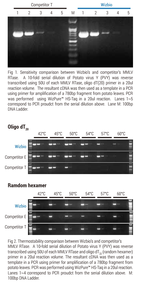 Technical Image