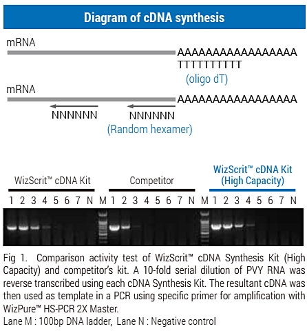 Technical Image