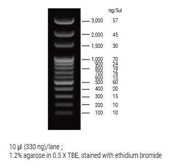 Technical Image