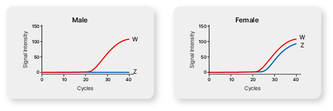 Technical Image