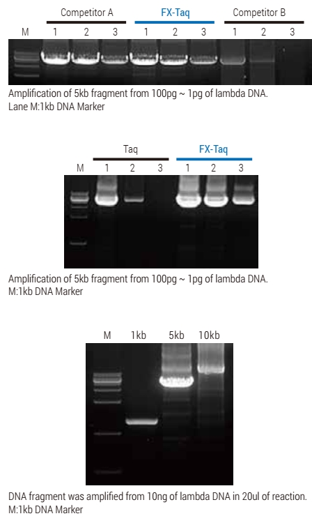 Technical Image