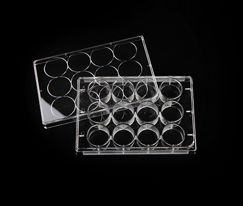 Cell Culture Plate,12 well