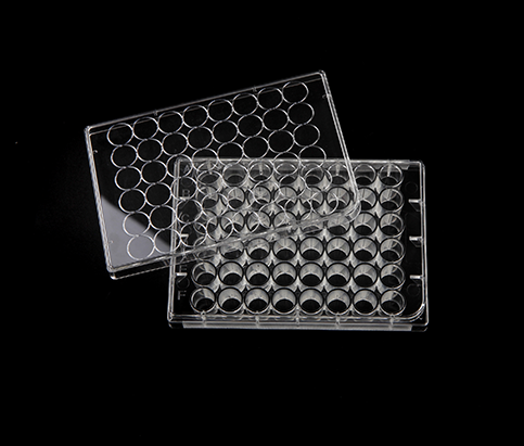 Cell Culture Plate, 48 well