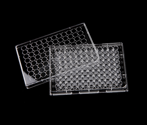 Cell Culture Plate, 96 well
