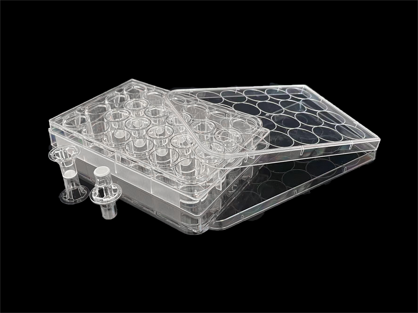 Cell culture plate, 24-well 0.4 μm pore size