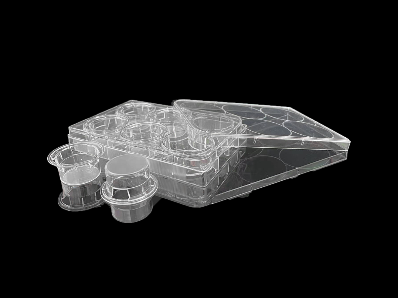 Cell culture plate, 6-well 0.4 μm pore size not TC