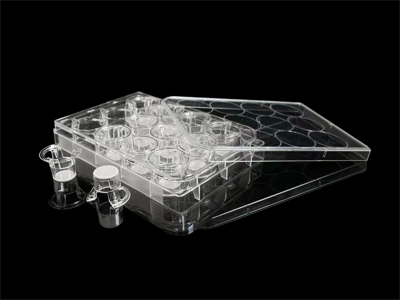 Cell culture inserts plate，12-well，0.4 µm pore size，PET with lid