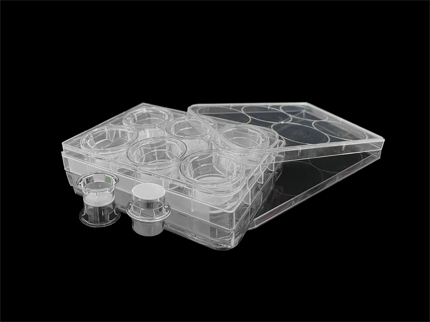 Cell culture inserts plate，6-well，0.4 µm pore size，PC with lid