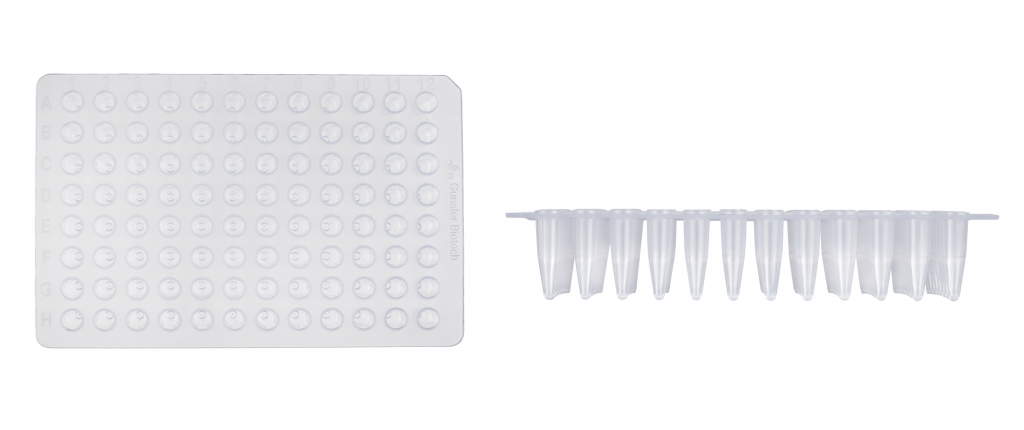 0.2ml PCR 96 Well Plate