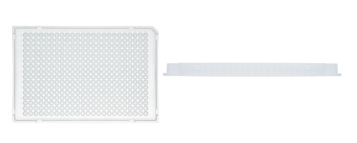 qPCR 384 Plate