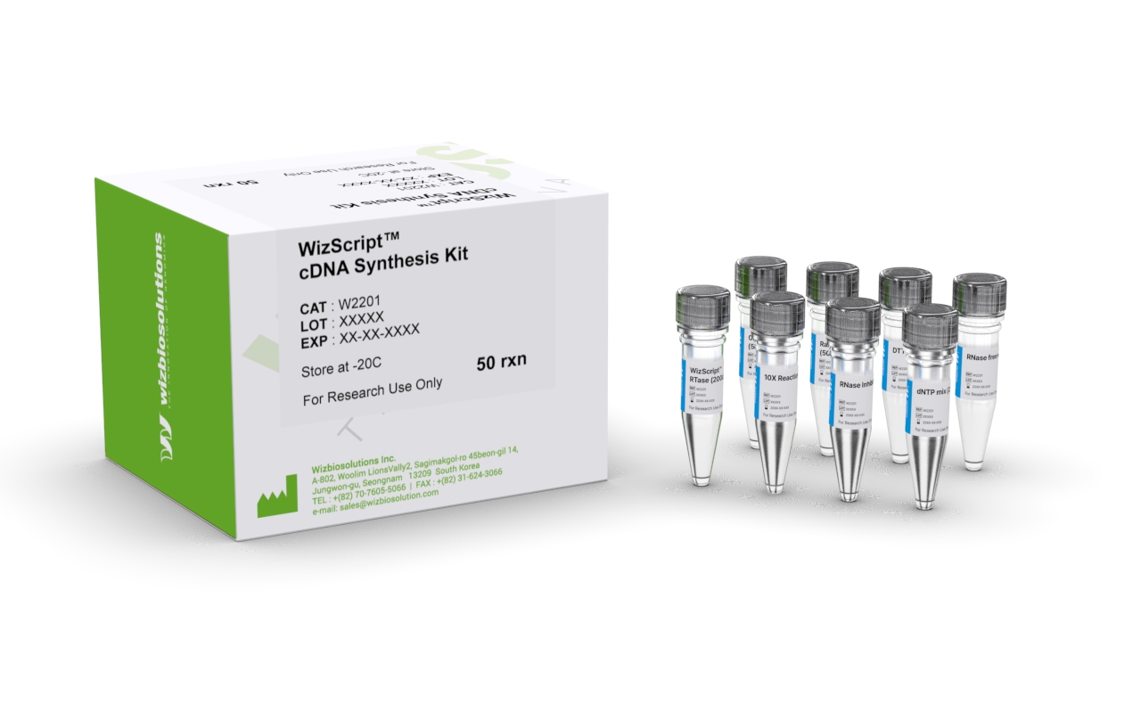 WizScript™ cDNA Synthesis Kit