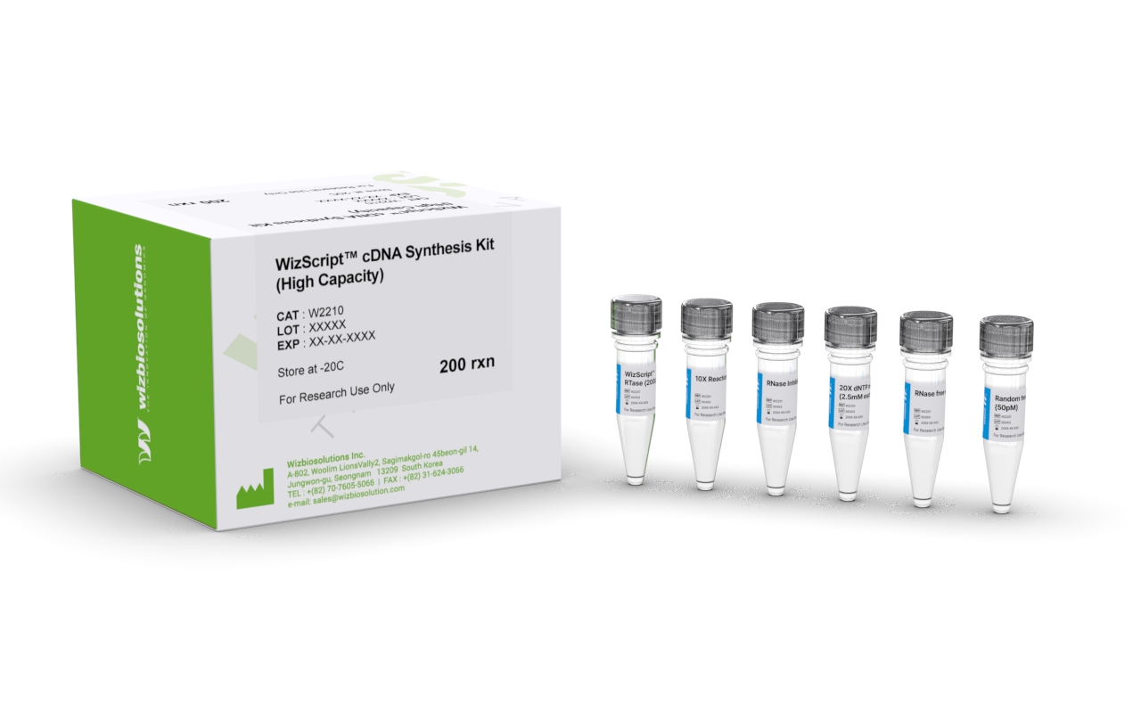 WizScript™ cDNA Synthesis Kit (High Capacity)
