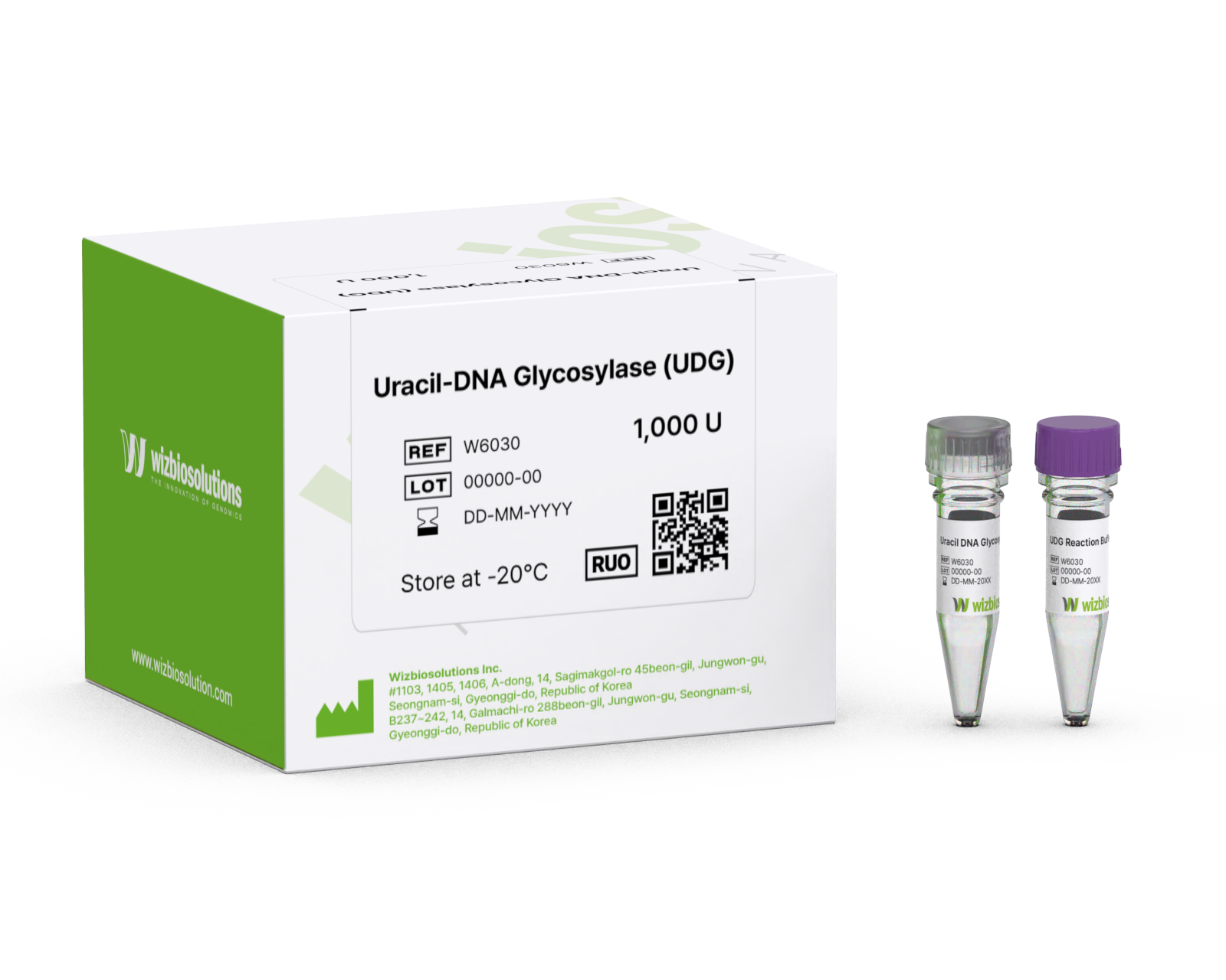 Uracil-DNA Glycosylase (UDG)