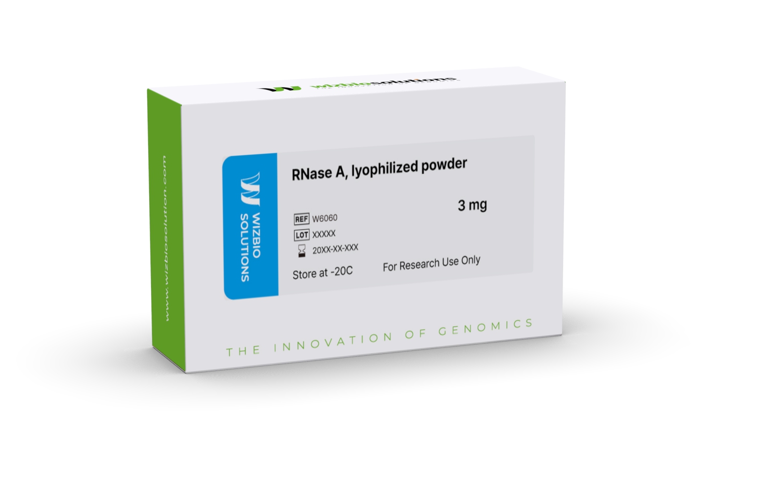 RNase A