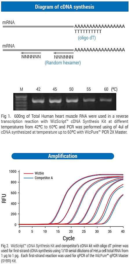 Technical Image