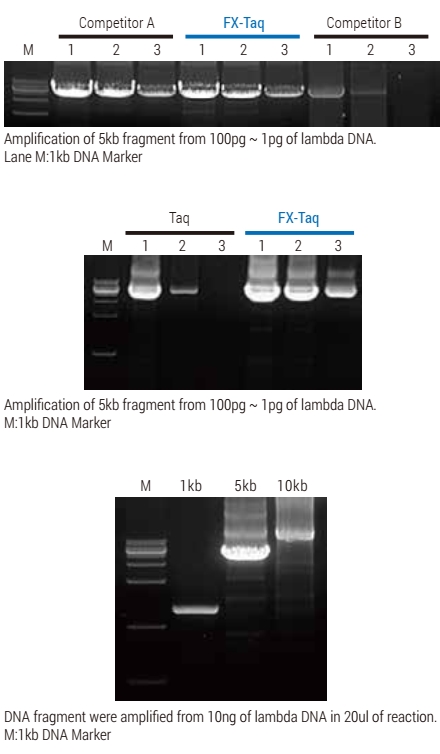 Technical Image