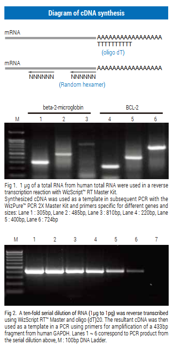 Technical Image