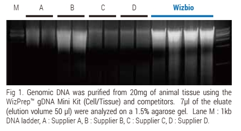 Technical Image