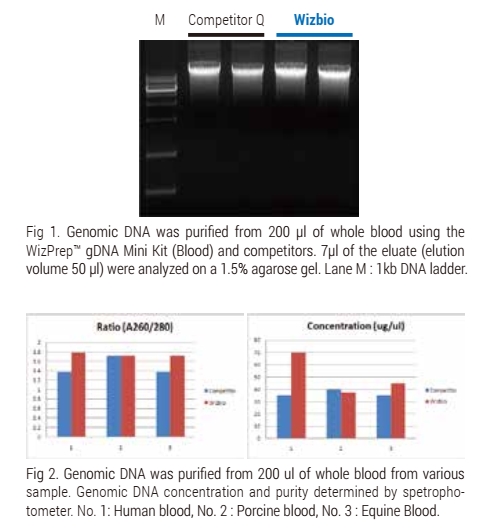 Technical Image