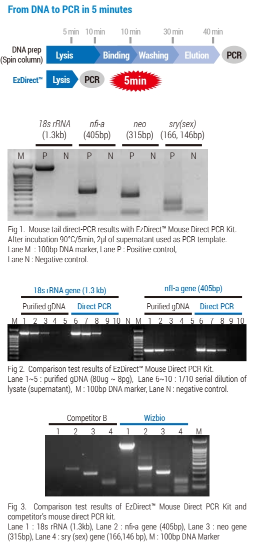EzDirect™ Mouse Direct PCR Kit