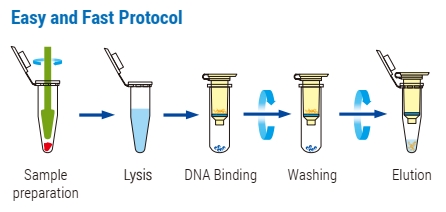 WizPrep™ Total RNA Mini Kit (Cell)